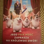 53279124_2285459888211672_465551661494960128_n